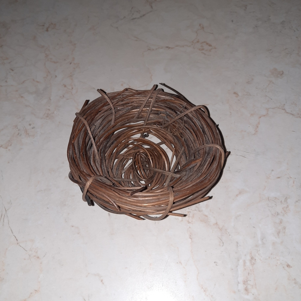 Vintage Bird Nest